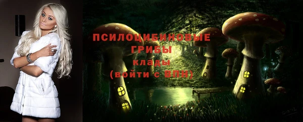 эйфоретик Майский