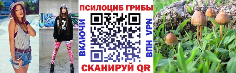 Псилоцибиновые грибы Cubensis  где продают наркотики  Ульяновск 