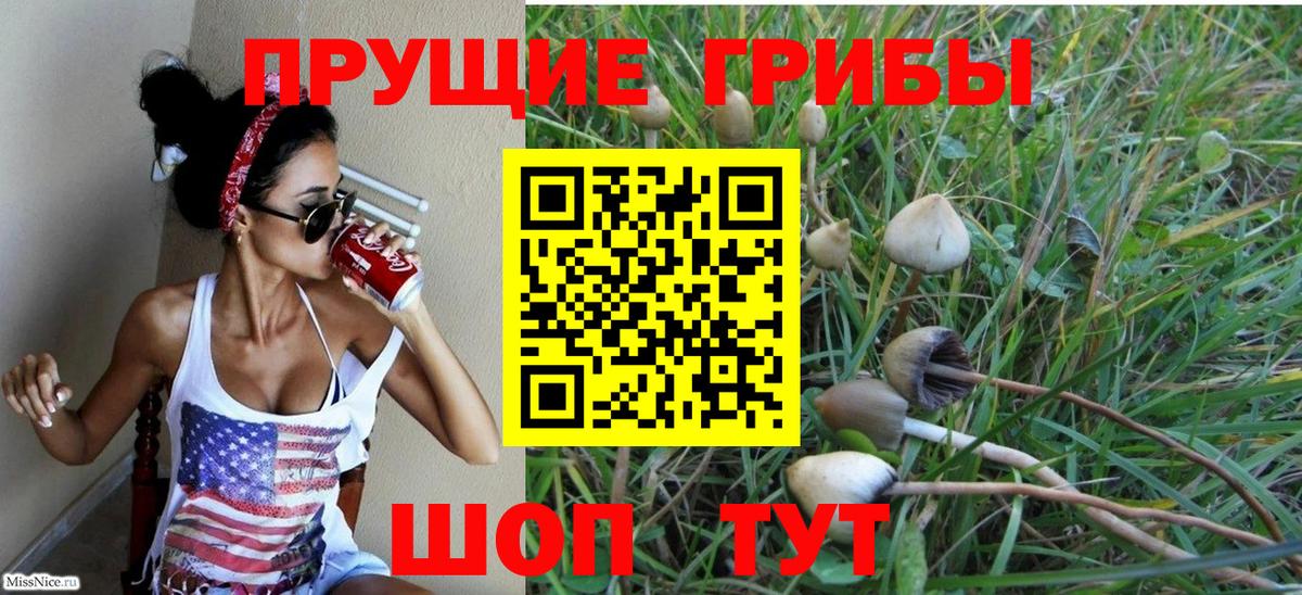Ульяновск  купить закладку  Вход с VPN  Галлюциногенные грибы мухоморы 